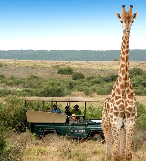 Paisagem na África do Sul